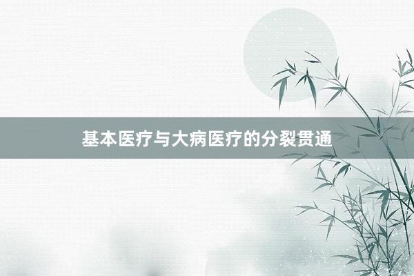 基本医疗与大病医疗的分裂贯通